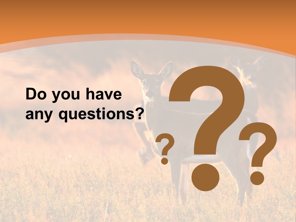 A Couple Of Deer Standing On Top Of A Grass Covered Field PowerPoint Template