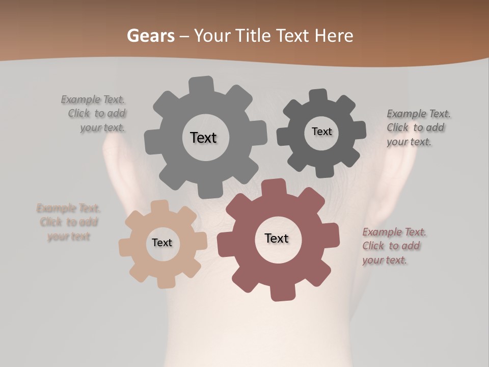 A Woman's Back With Her Hair In A Bun PowerPoint Template