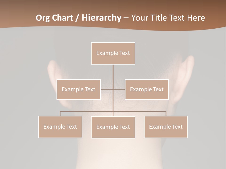 A Woman's Back With Her Hair In A Bun PowerPoint Template