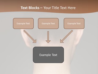 A Woman's Back With Her Hair In A Bun PowerPoint Template