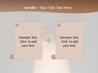 A Woman's Back With Her Hair In A Bun PowerPoint Template