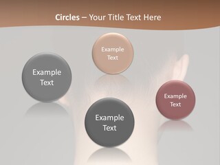 A Woman's Back With Her Hair In A Bun PowerPoint Template