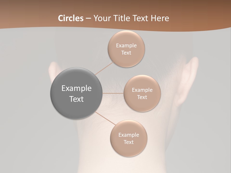 A Woman's Back With Her Hair In A Bun PowerPoint Template