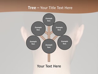 A Woman's Back With Her Hair In A Bun PowerPoint Template