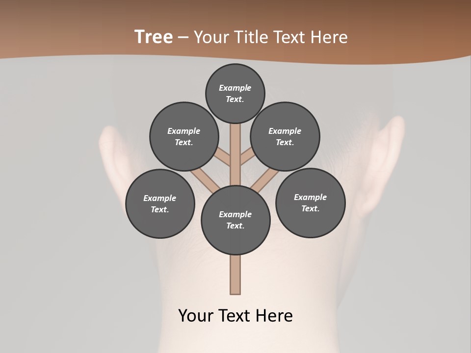 A Woman's Back With Her Hair In A Bun PowerPoint Template