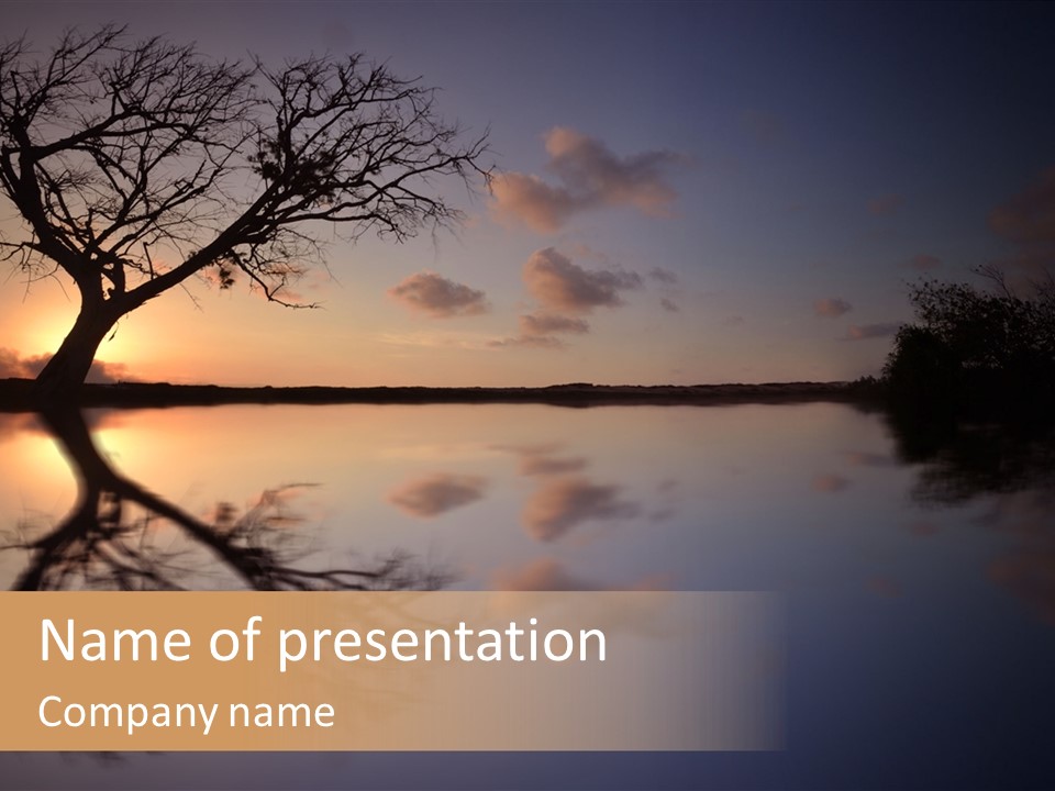 A Tree In The Middle Of A Body Of Water PowerPoint Template