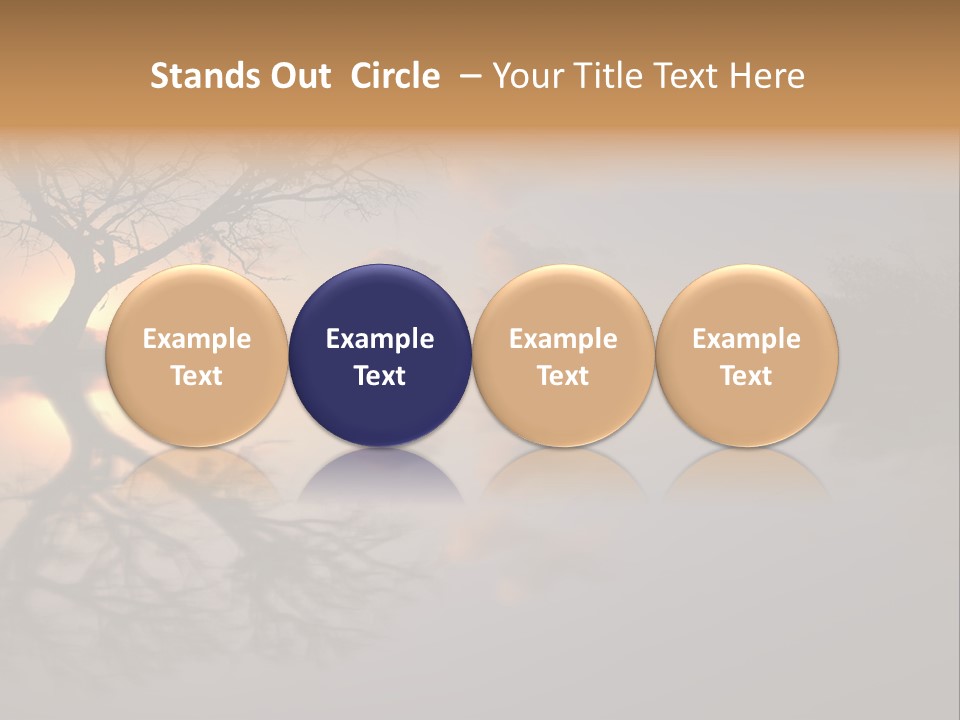 A Tree In The Middle Of A Body Of Water PowerPoint Template