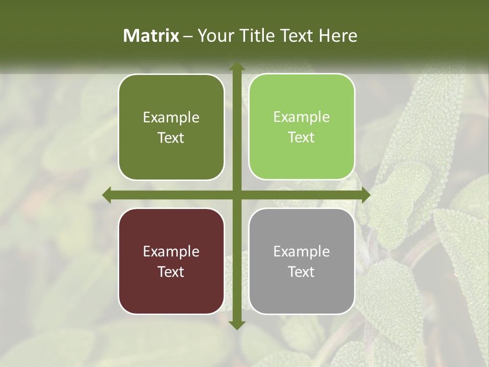 A Group Of Sage Plants With Green Leaves PowerPoint Template