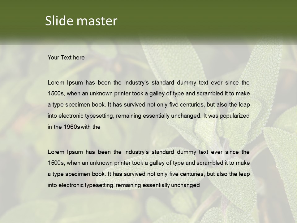 A Group Of Sage Plants With Green Leaves PowerPoint Template