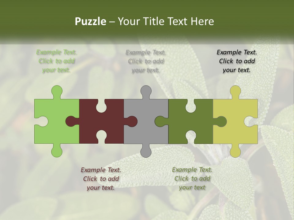 A Group Of Sage Plants With Green Leaves PowerPoint Template