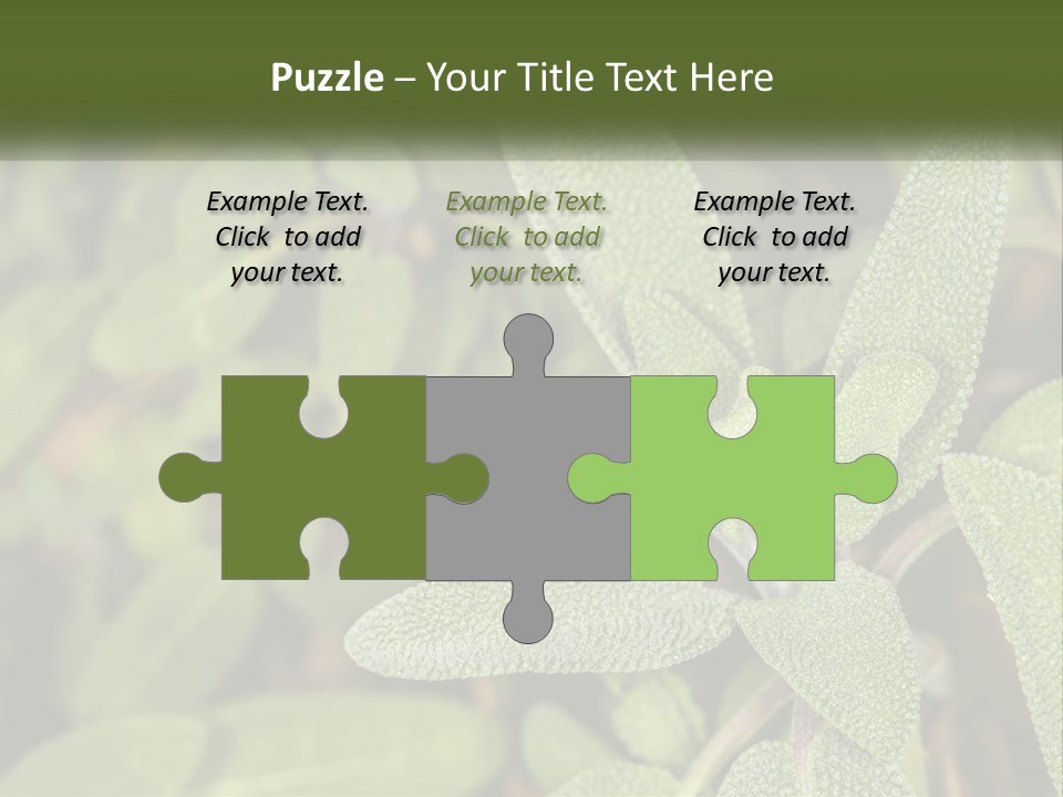 A Group Of Sage Plants With Green Leaves PowerPoint Template