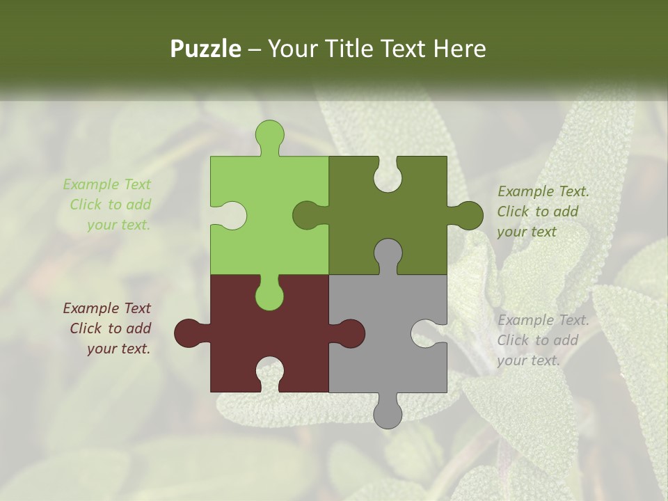 A Group Of Sage Plants With Green Leaves PowerPoint Template