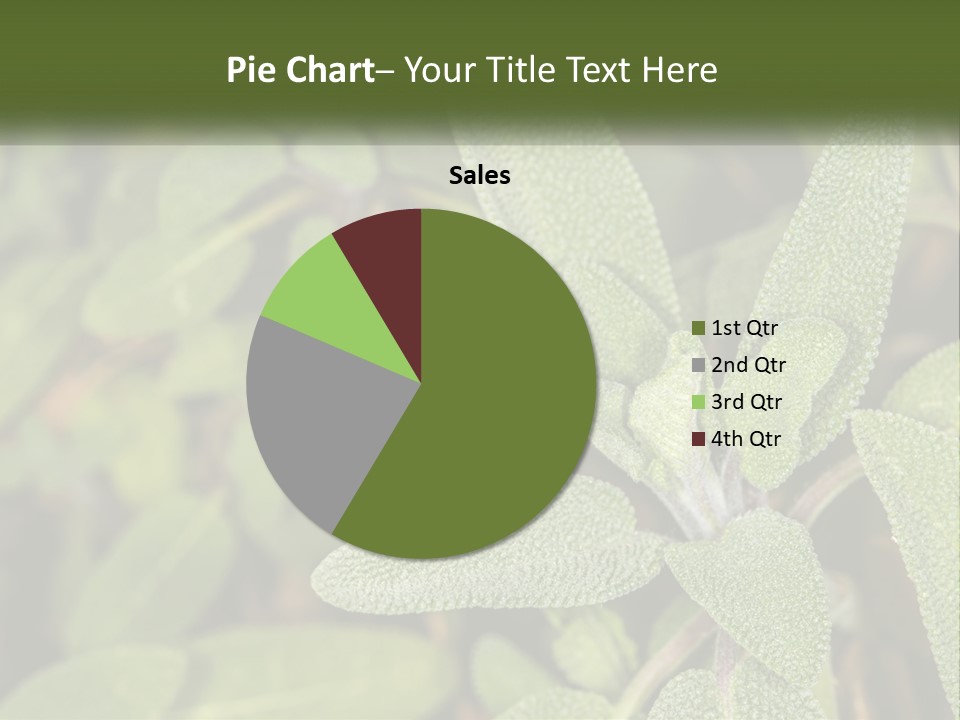 A Group Of Sage Plants With Green Leaves PowerPoint Template