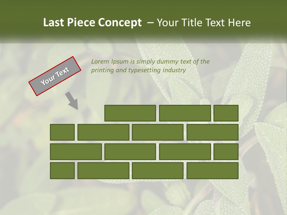 A Group Of Sage Plants With Green Leaves PowerPoint Template