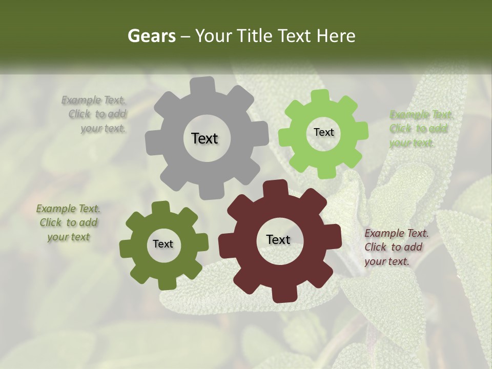 A Group Of Sage Plants With Green Leaves PowerPoint Template
