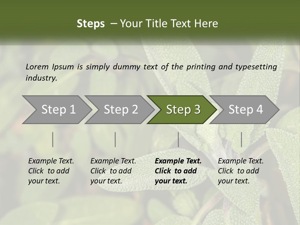 A Group Of Sage Plants With Green Leaves PowerPoint Template