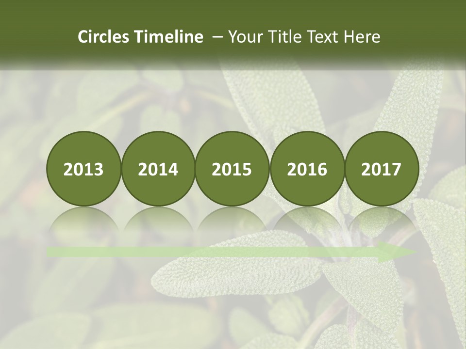 A Group Of Sage Plants With Green Leaves PowerPoint Template