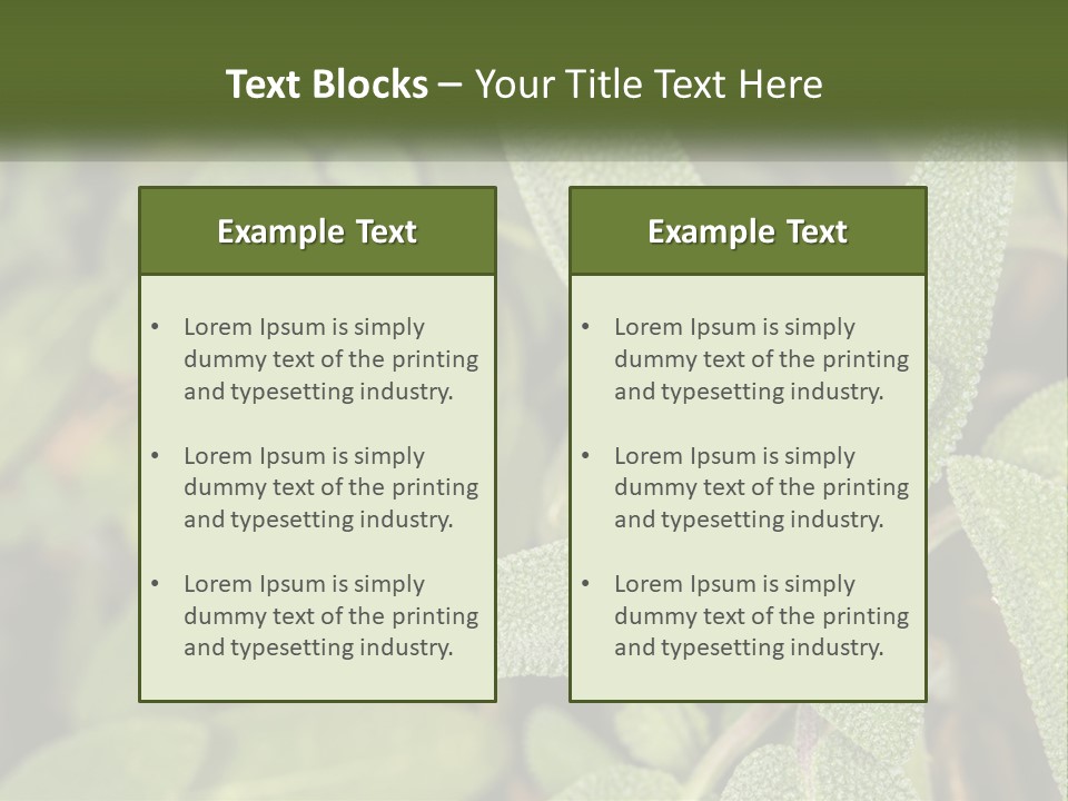 A Group Of Sage Plants With Green Leaves PowerPoint Template