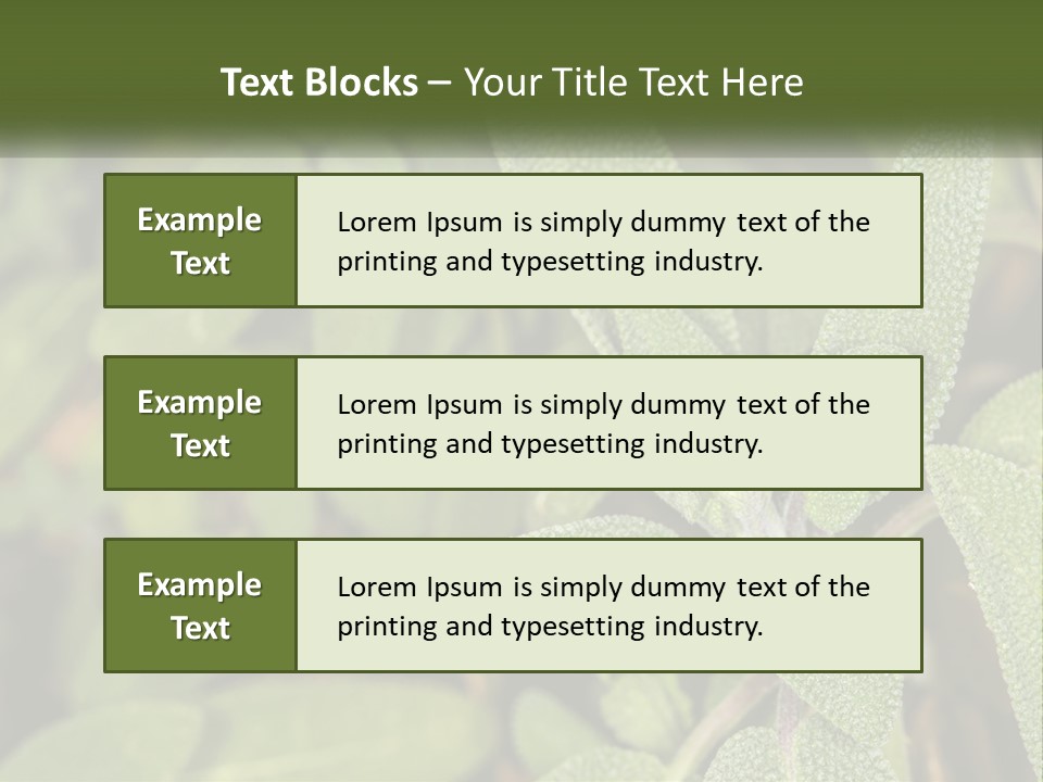 A Group Of Sage Plants With Green Leaves PowerPoint Template
