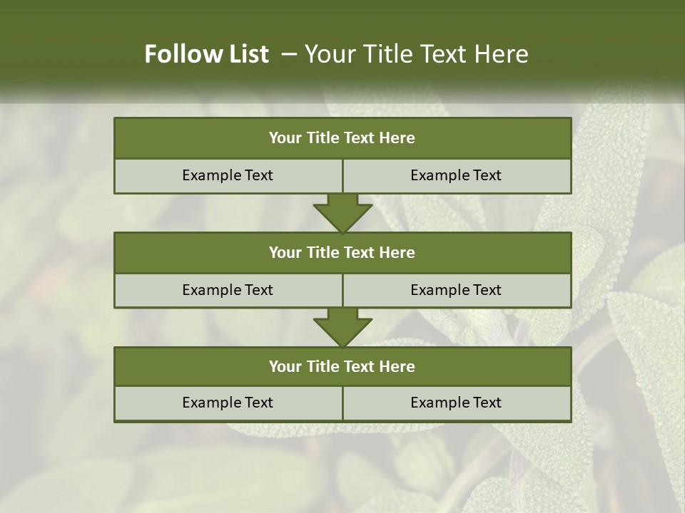 A Group Of Sage Plants With Green Leaves PowerPoint Template