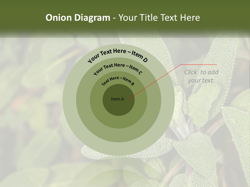 A Group Of Sage Plants With Green Leaves PowerPoint Template