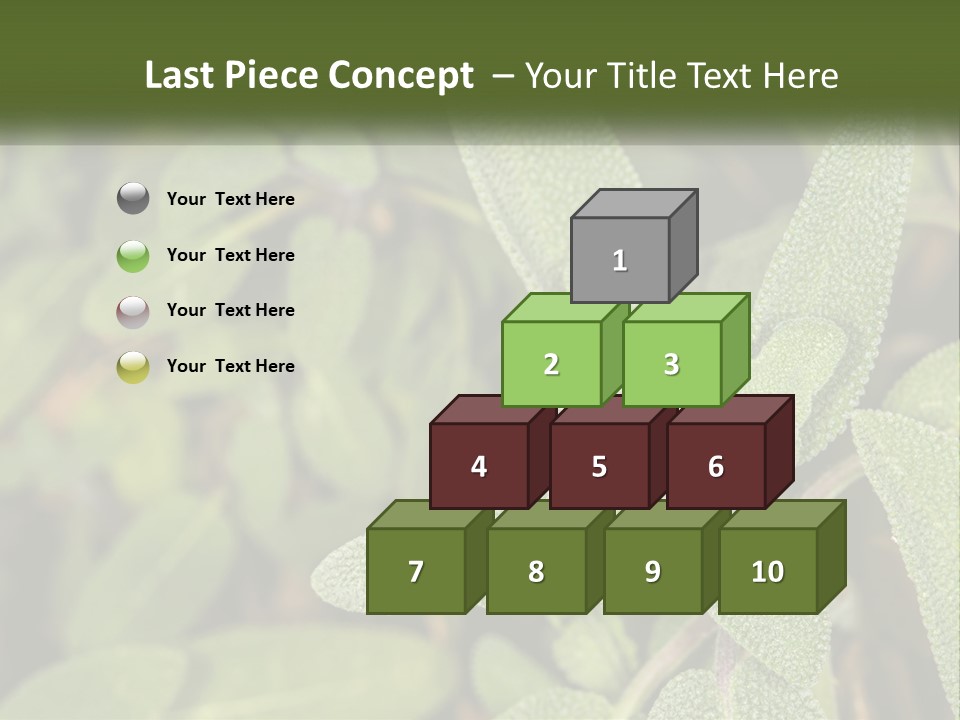 A Group Of Sage Plants With Green Leaves PowerPoint Template