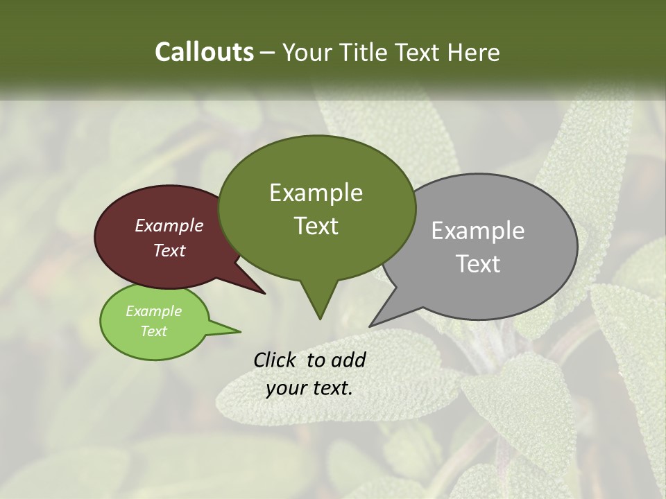 A Group Of Sage Plants With Green Leaves PowerPoint Template