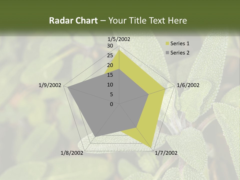 A Group Of Sage Plants With Green Leaves PowerPoint Template