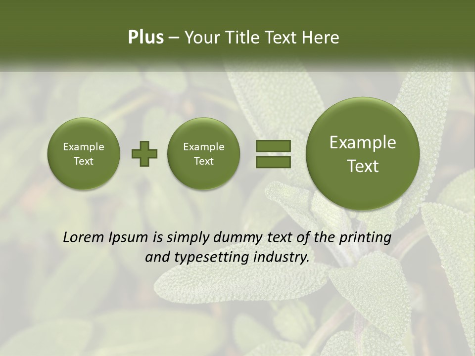 A Group Of Sage Plants With Green Leaves PowerPoint Template