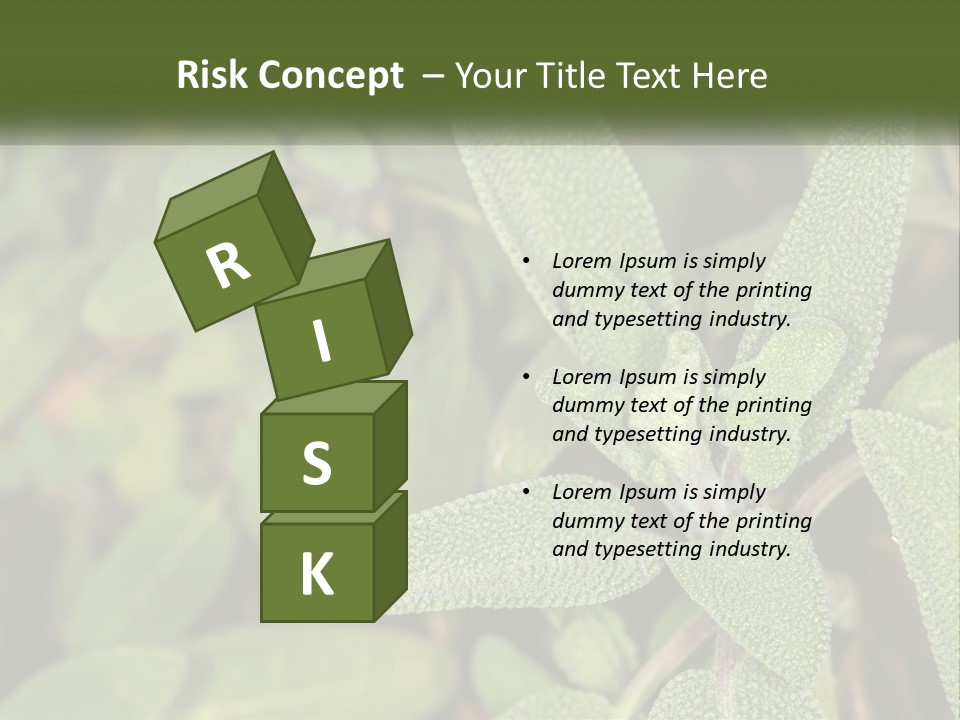 A Group Of Sage Plants With Green Leaves PowerPoint Template