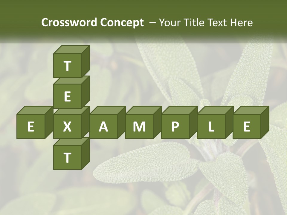 A Group Of Sage Plants With Green Leaves PowerPoint Template