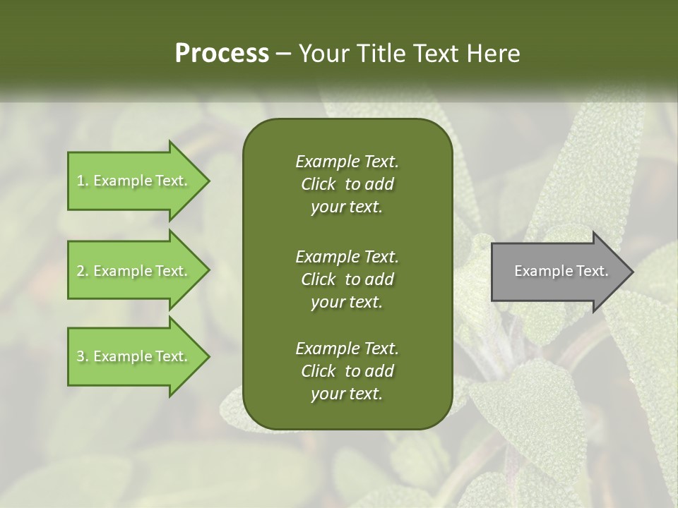 A Group Of Sage Plants With Green Leaves PowerPoint Template