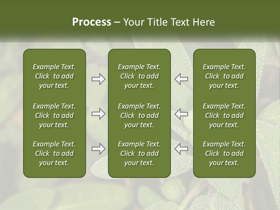 A Group Of Sage Plants With Green Leaves PowerPoint Template