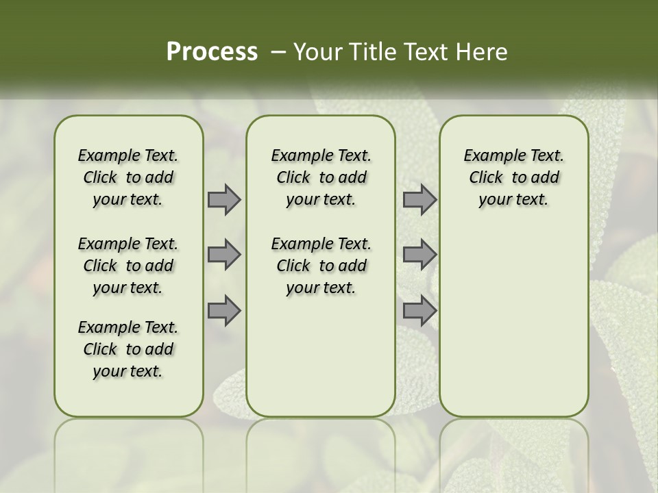 A Group Of Sage Plants With Green Leaves PowerPoint Template