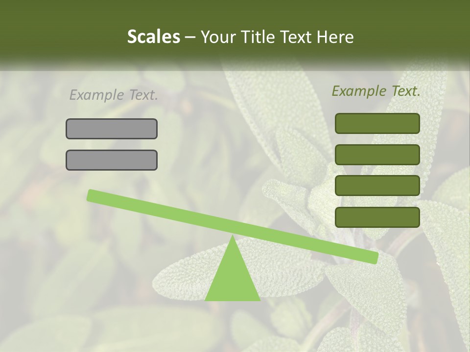 A Group Of Sage Plants With Green Leaves PowerPoint Template