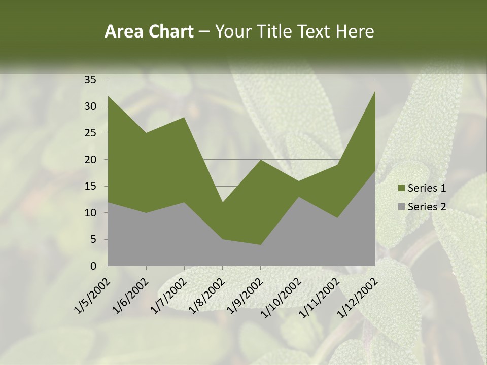 A Group Of Sage Plants With Green Leaves PowerPoint Template