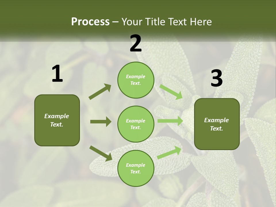A Group Of Sage Plants With Green Leaves PowerPoint Template