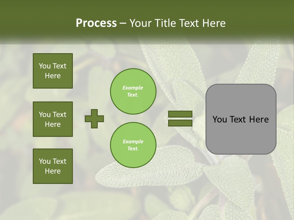 A Group Of Sage Plants With Green Leaves PowerPoint Template