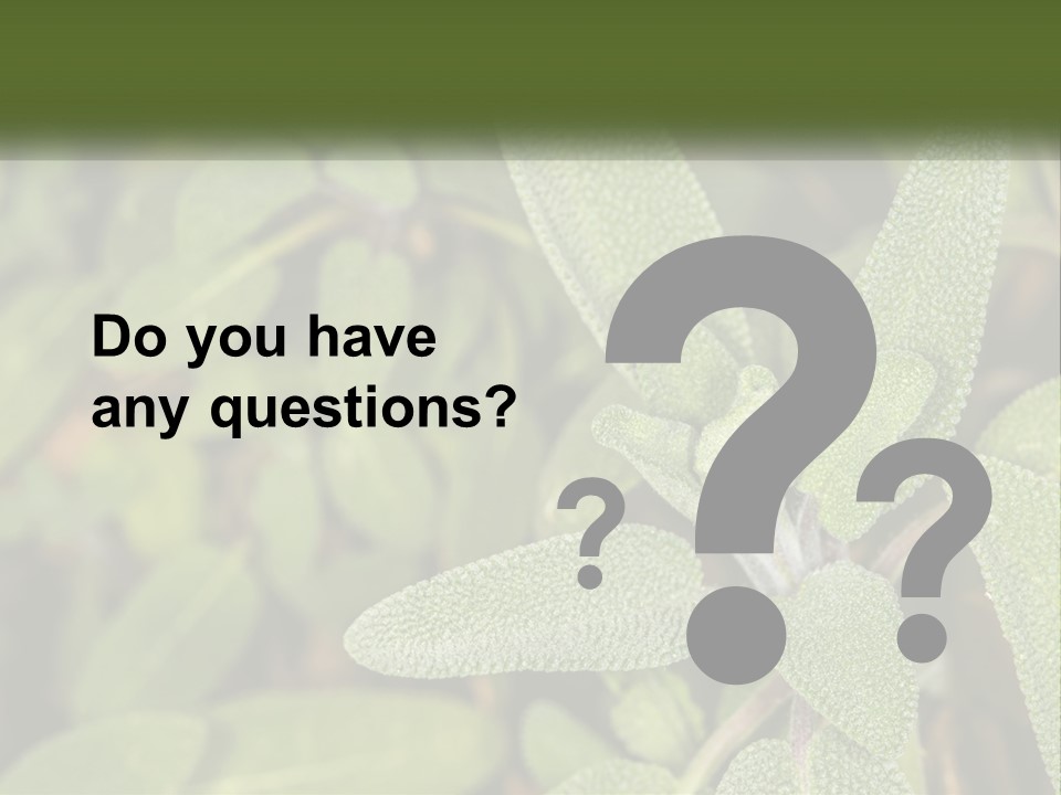 A Group Of Sage Plants With Green Leaves PowerPoint Template