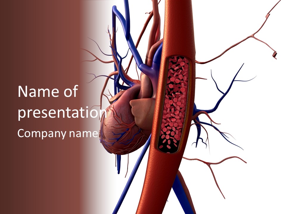 A Medical Powerpoint Presentation With A Heart And Blood Vessels PowerPoint Template