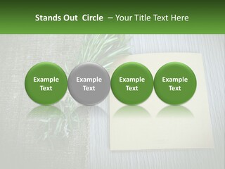 A Piece Of Paper With A Sprig Of Rosemary On Top Of It PowerPoint Template