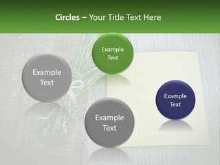 A Piece Of Paper With A Sprig Of Rosemary On Top Of It PowerPoint Template