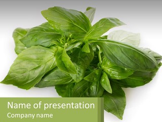 A Pile Of Fresh Basil Leaves On A White Background PowerPoint Template