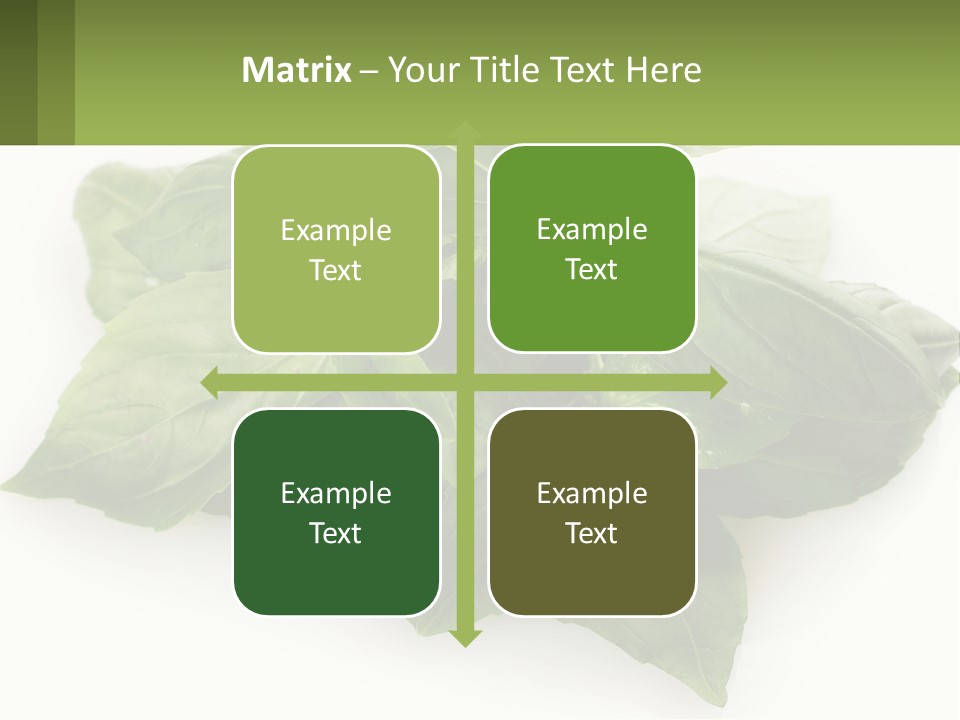 A Pile Of Fresh Basil Leaves On A White Background PowerPoint Template