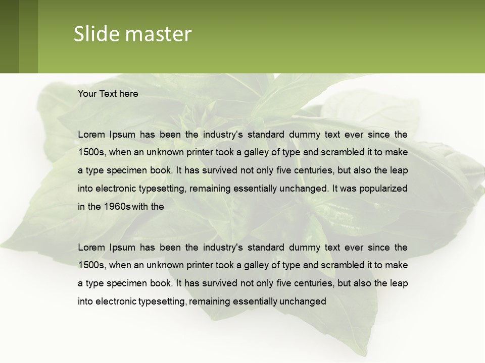 A Pile Of Fresh Basil Leaves On A White Background PowerPoint Template