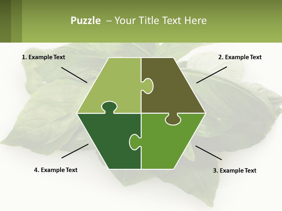 A Pile Of Fresh Basil Leaves On A White Background PowerPoint Template