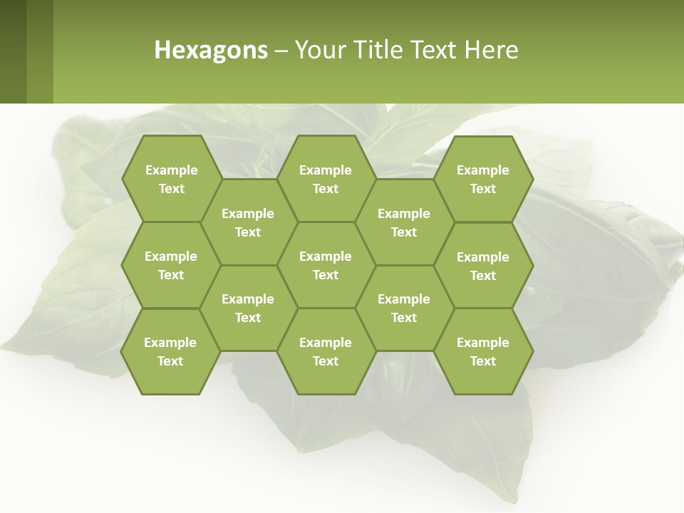 A Pile Of Fresh Basil Leaves On A White Background PowerPoint Template