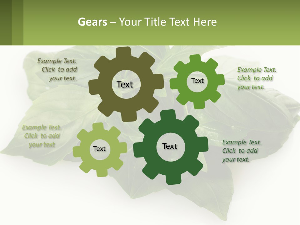 A Pile Of Fresh Basil Leaves On A White Background PowerPoint Template