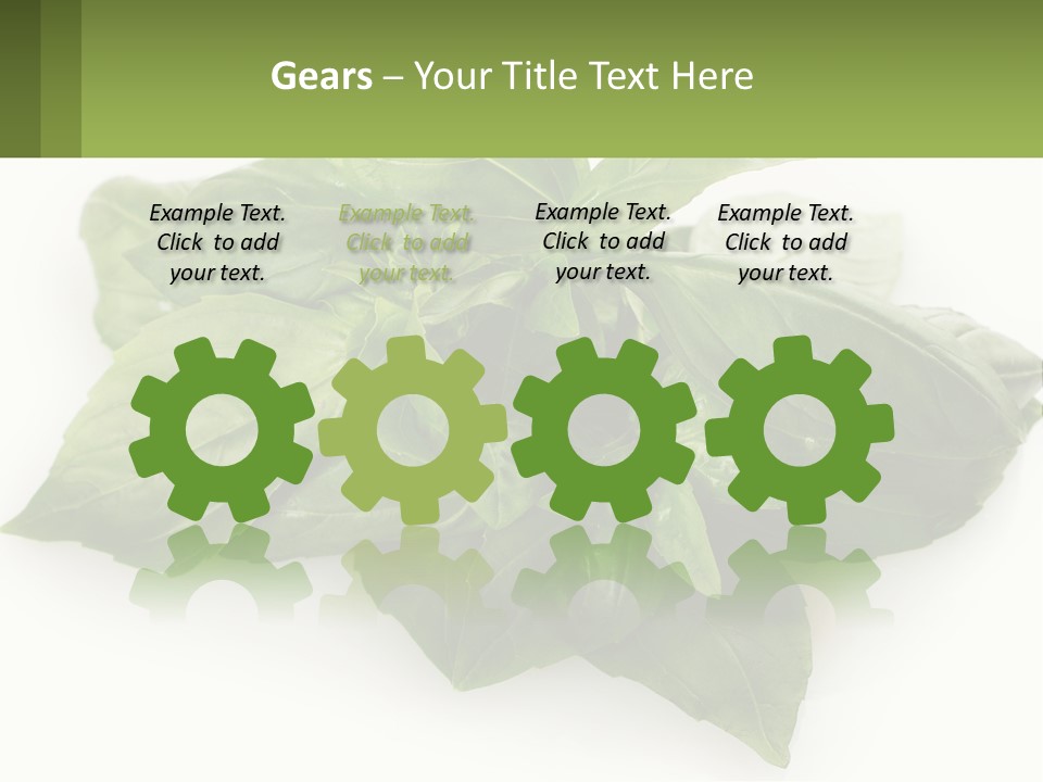 A Pile Of Fresh Basil Leaves On A White Background PowerPoint Template