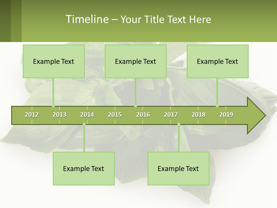 A Pile Of Fresh Basil Leaves On A White Background PowerPoint Template
